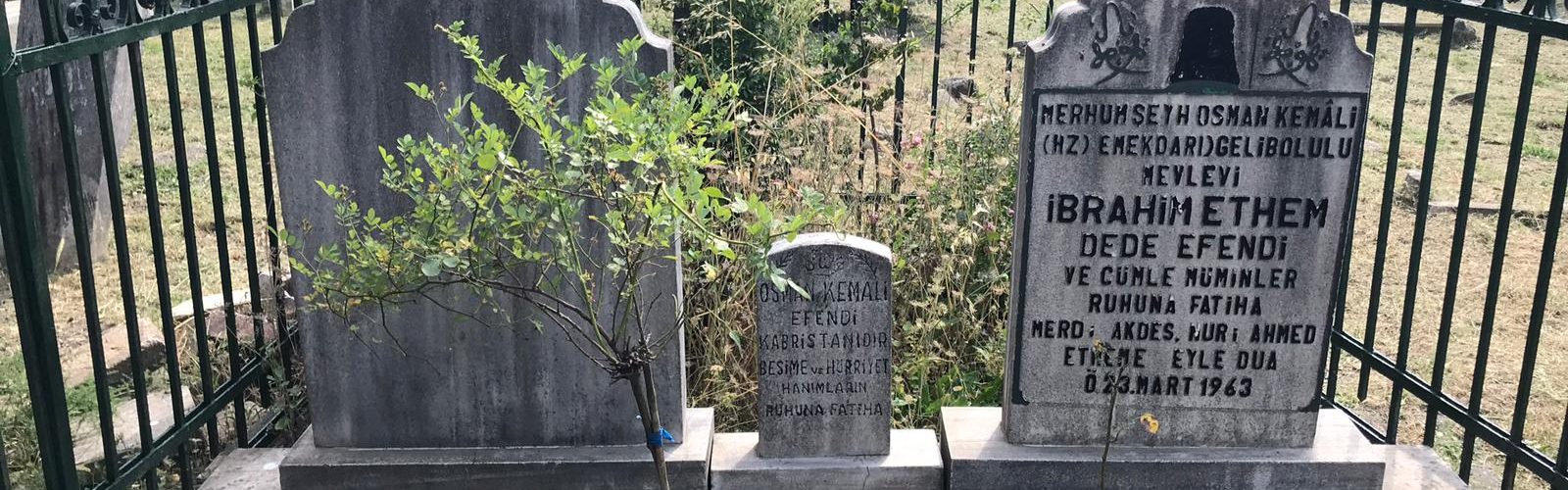 WhatsApp Image 2021-03-27 at 19.33.51